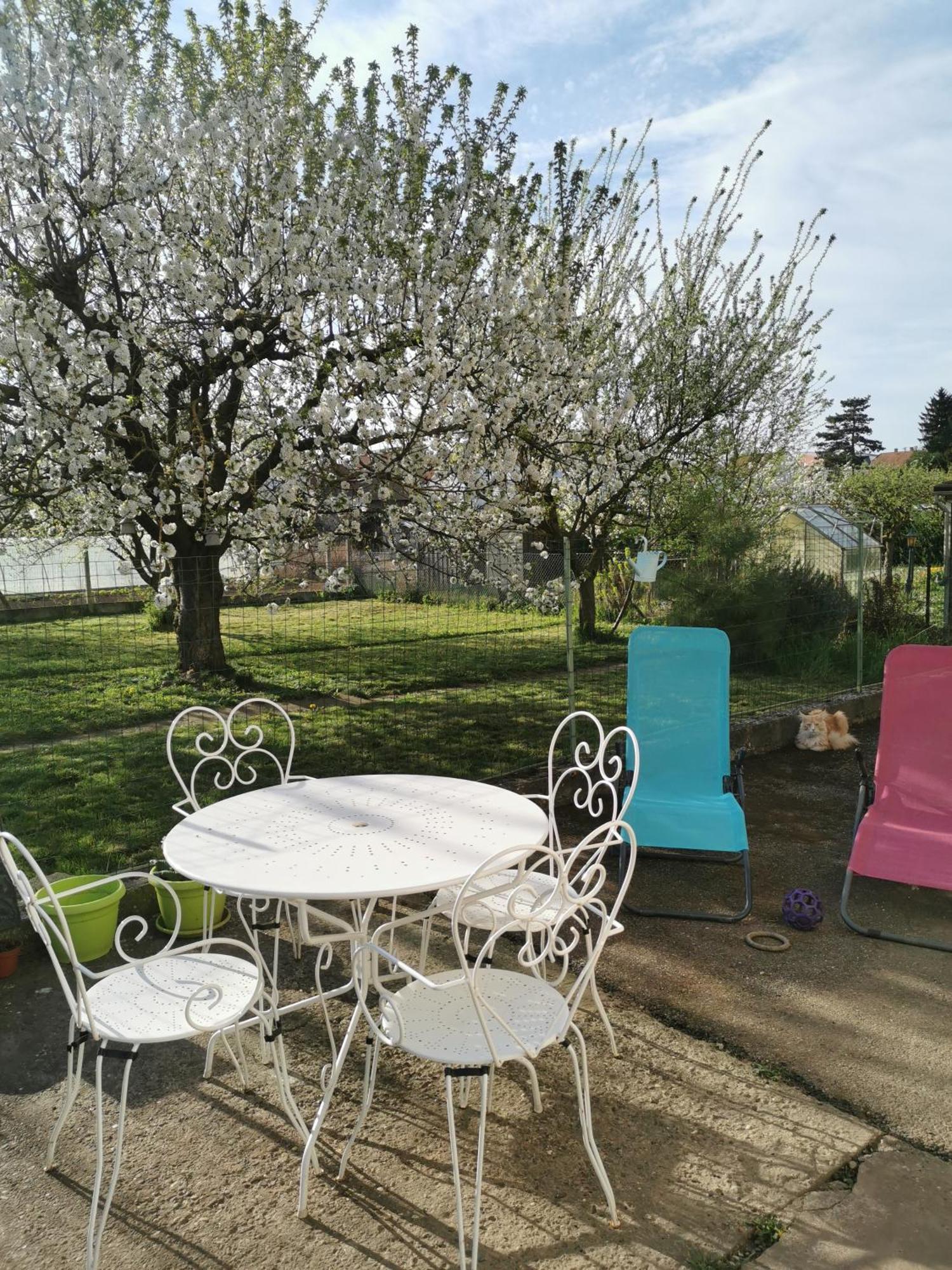 Maison Les 3 Roses Wolfisheim Экстерьер фото
